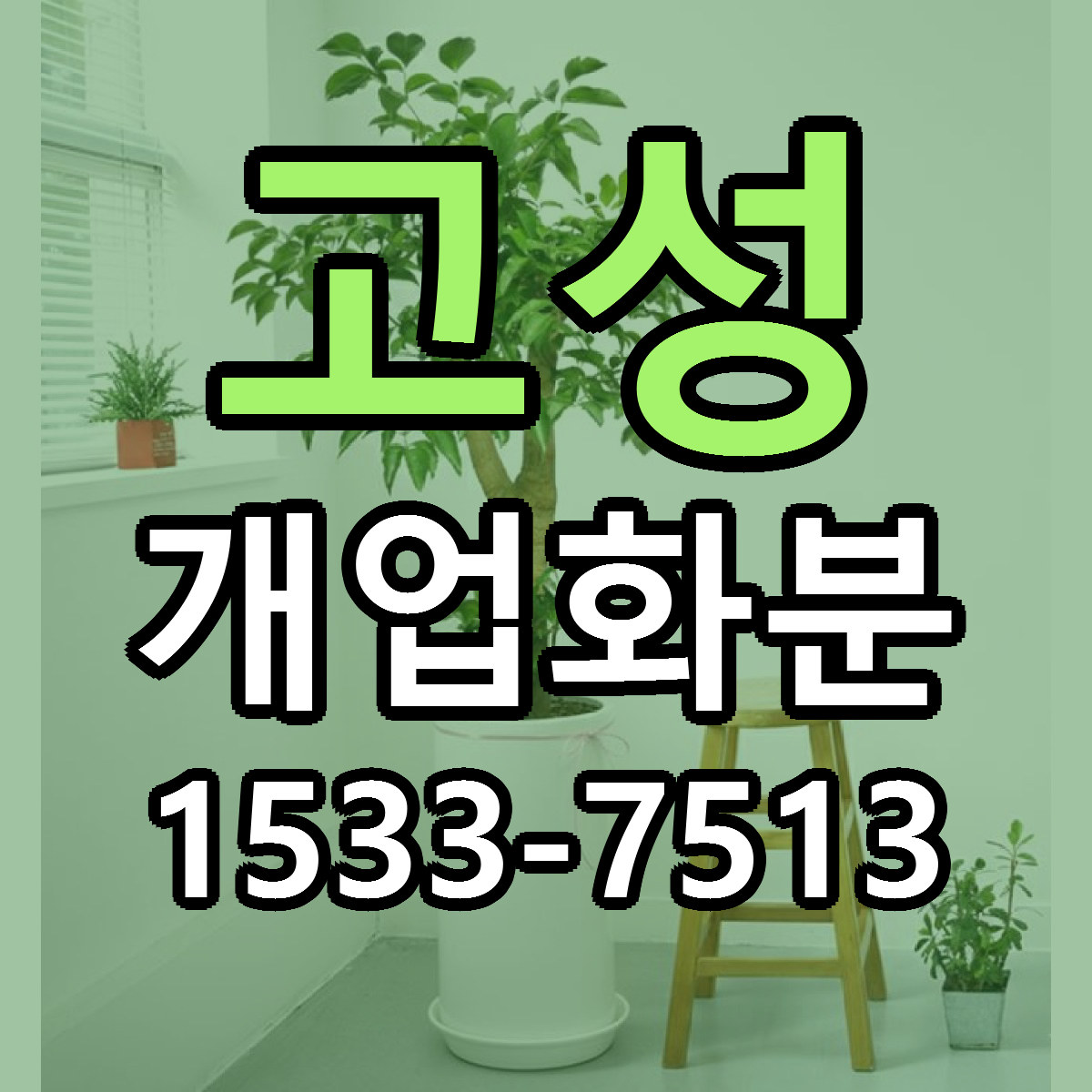 고성 개업화분 당일배송 근처꽃집 싼곳 비교