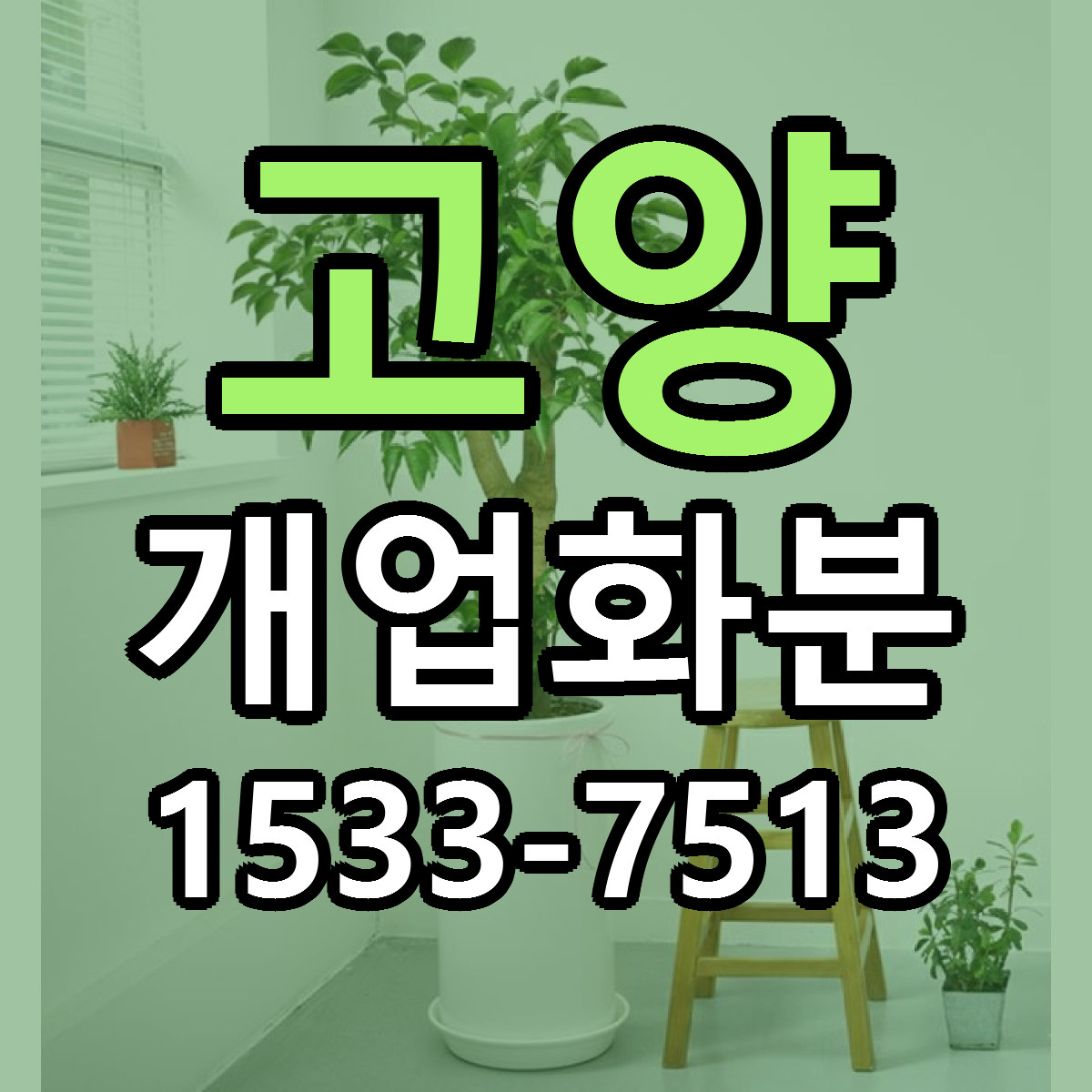 고양 개업화분 당일배송 가격 저렴한곳 추천