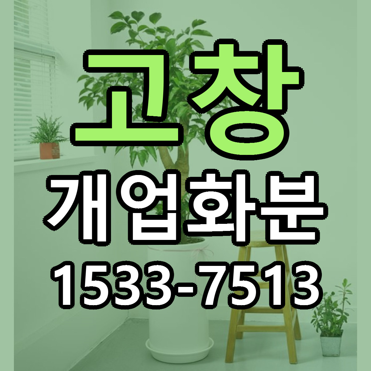 고창 개업화분 저렴한곳 당일배송 가격 만족