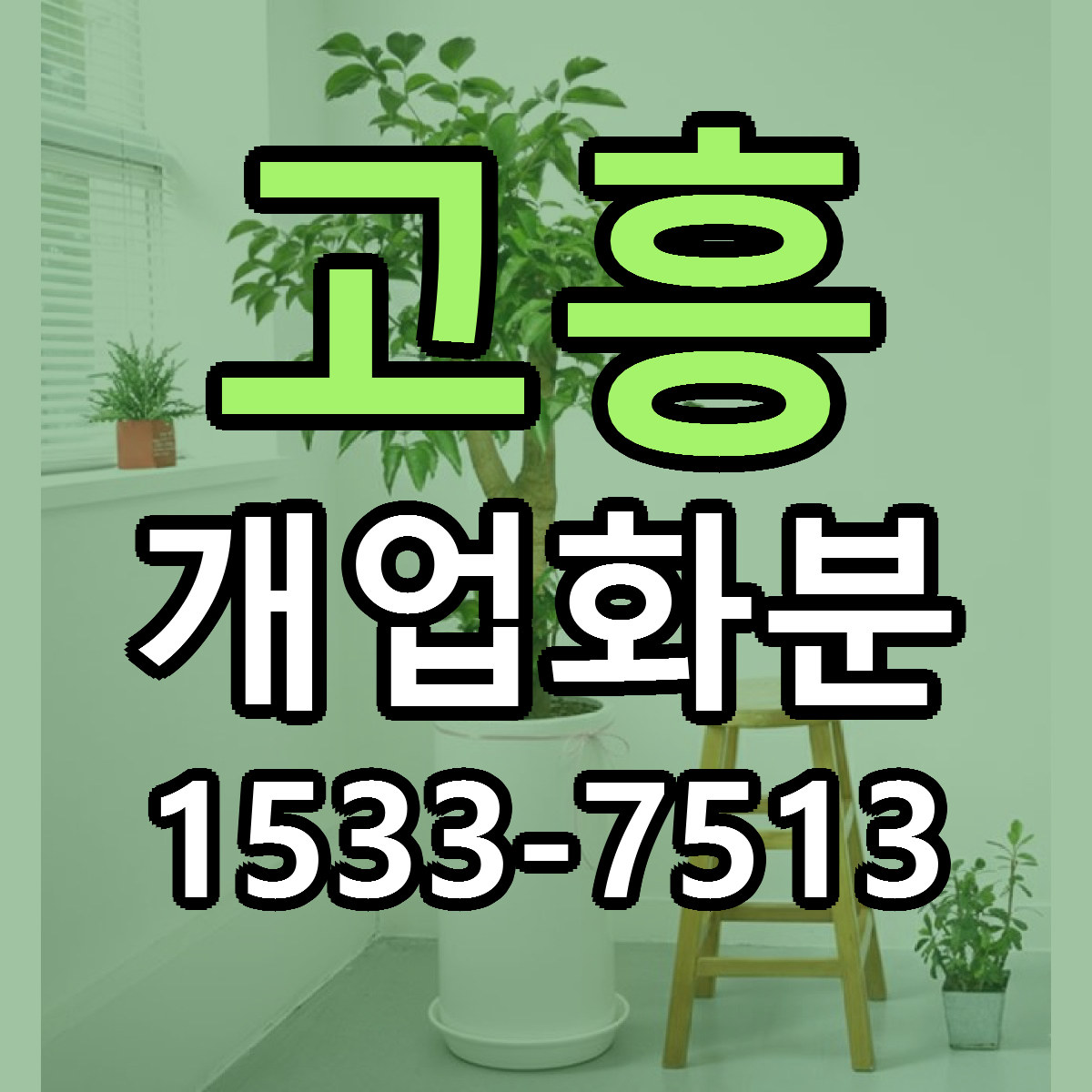 고흥 개업화분 근처꽃집 당일배송 싼곳 추천