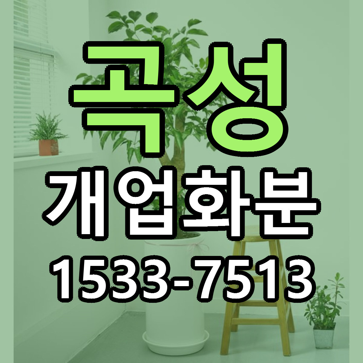 곡성 개업화분 빠른배송 가격 저렴한곳 찾기