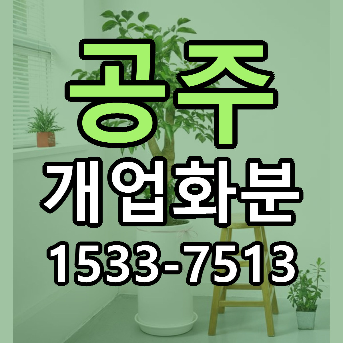 공주 개업화분 근처꽃집 당일배송 리본문구 서비스