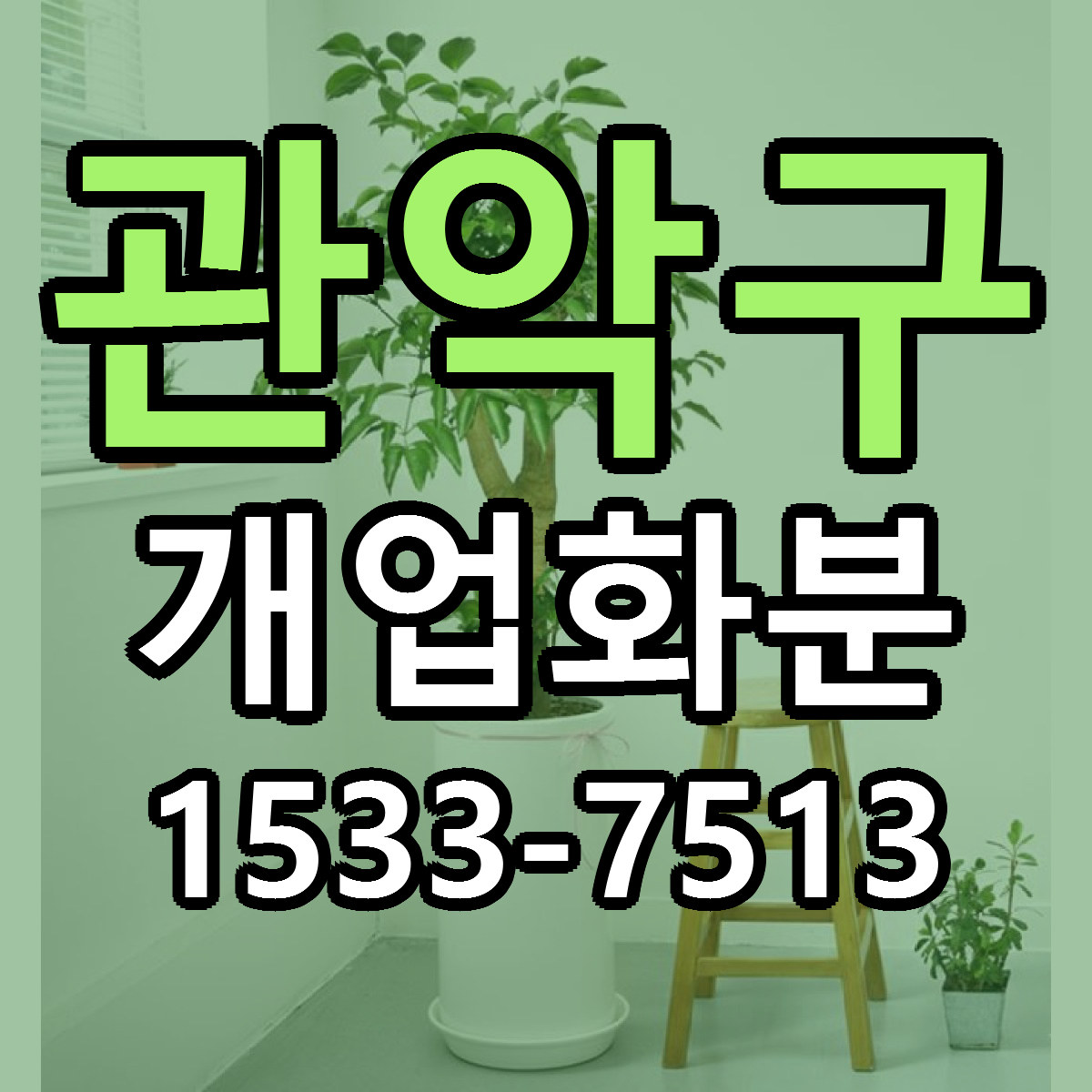 관악구 개업화분 당일배송 가격 저렴한곳 추천