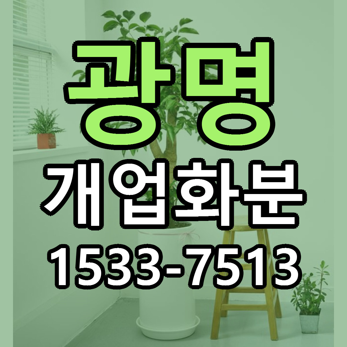 광명 개업화분 싼곳 빠른배송 리본문구 무료