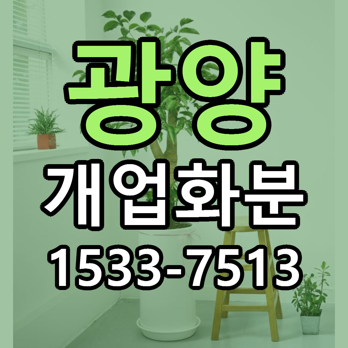 광양 개업화분 빠른배송 리본문구 가격 알뜰 비교