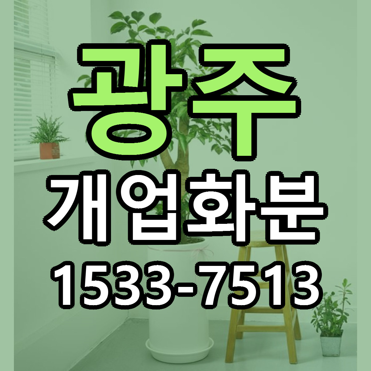 광주 개업화분 당일배송 리본문구 싼곳 찾기