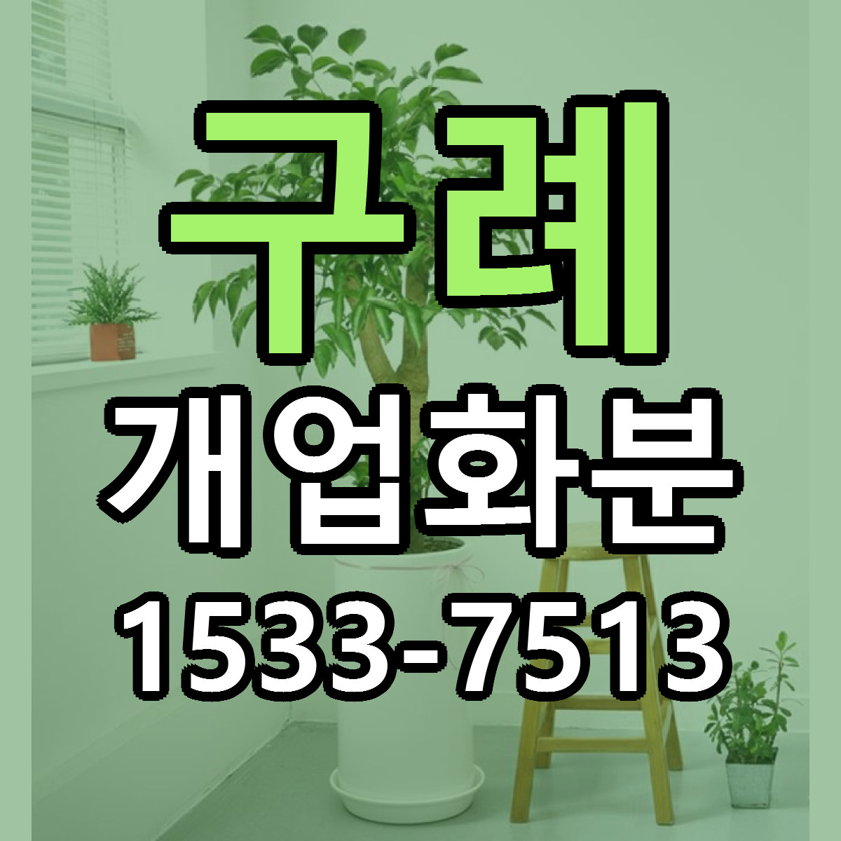 구례 개업화분 빠른배송 리본문구 근처꽃집 예약