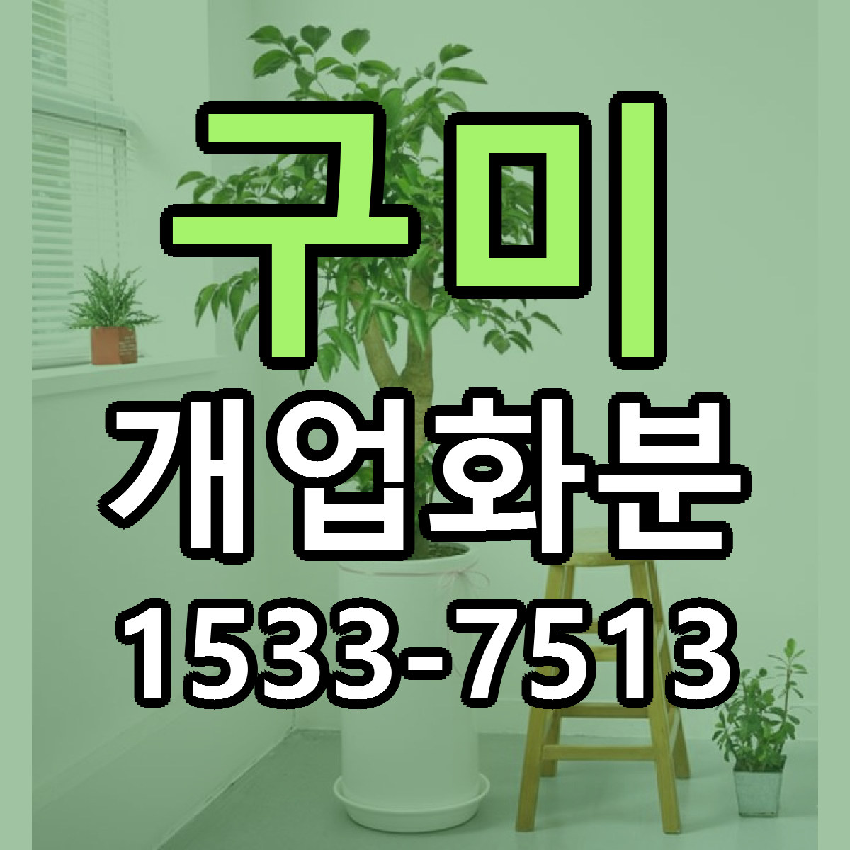구미 개업화분 근처꽃집 빠른배송 가격 문의