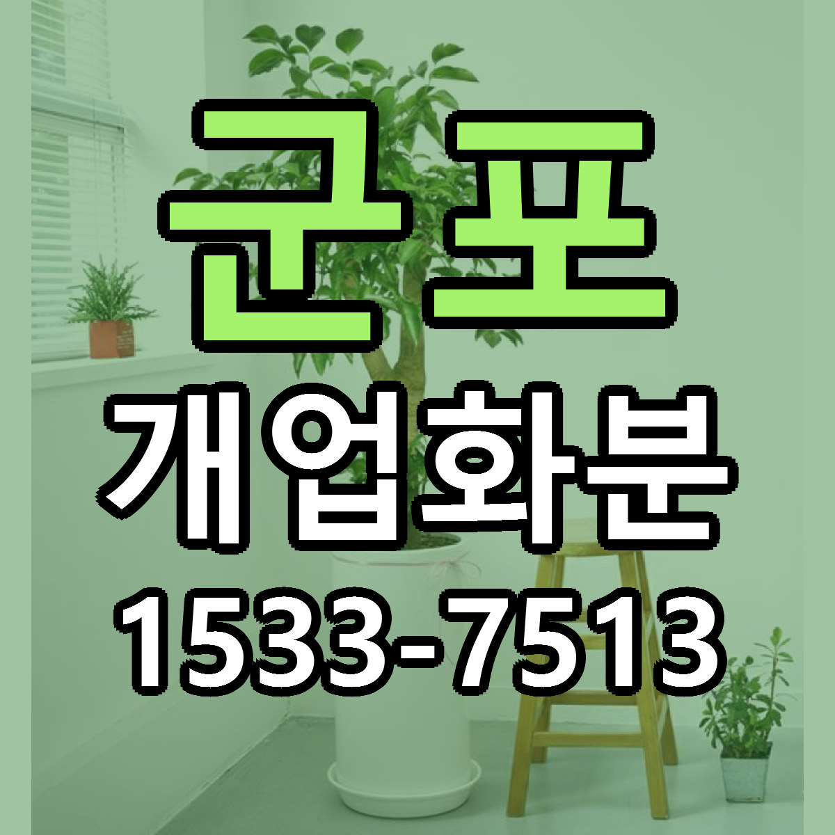 군포 개업화분 근처꽃집 빠른배송 가격 문의