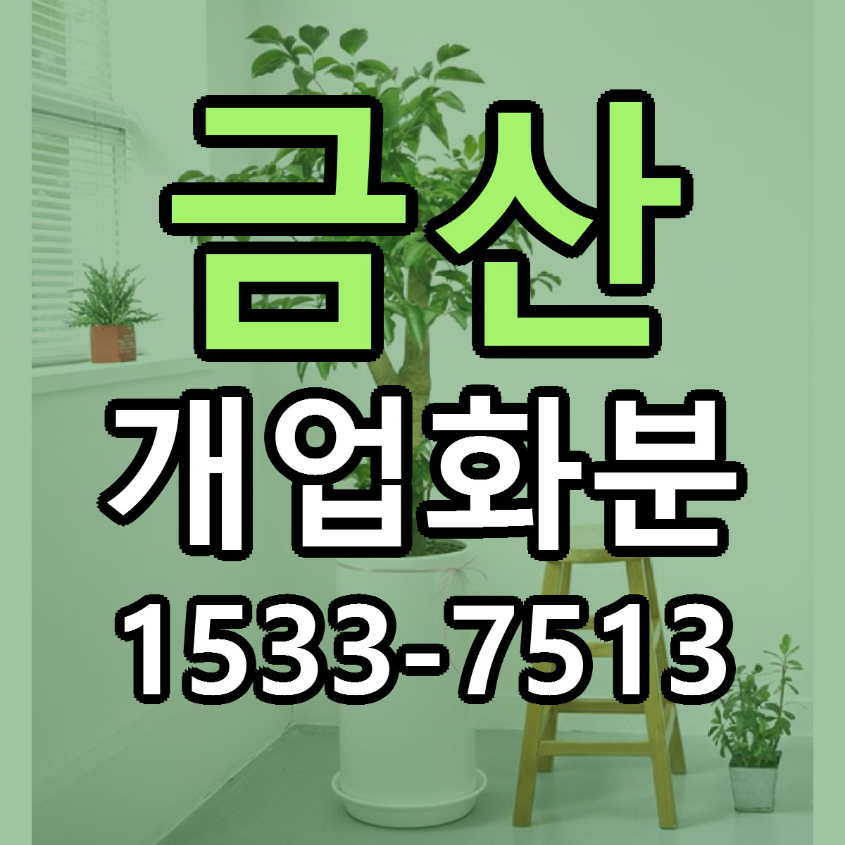 금산 개업화분 빠른배송 근처꽃집 가격 비교