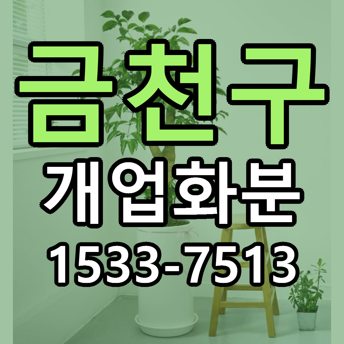 금천구 개업화분 빠른배송 근처꽃집 가격 비교