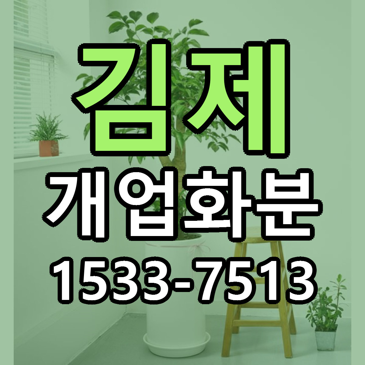 김제 개업화분 빠른배송 싼곳 가격 문의