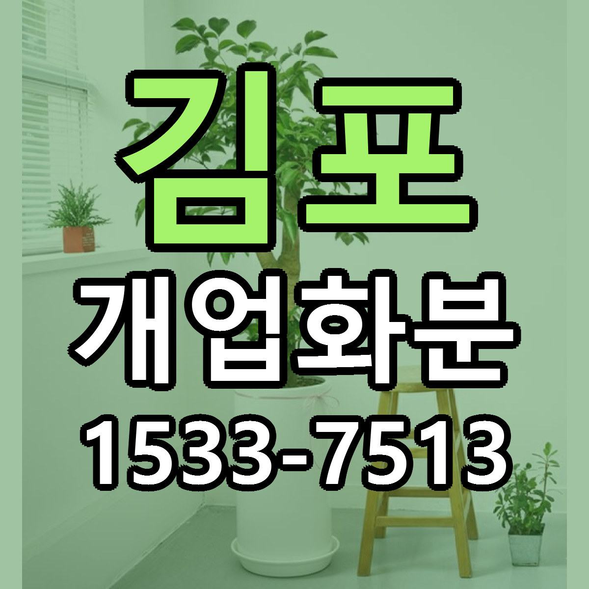 김포 개업화분 빠른배송 리본문구 가격 알뜰 비교
