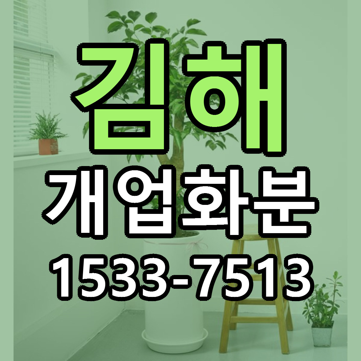 김해 개업화분 빠른배송 근처꽃집 가격 비교