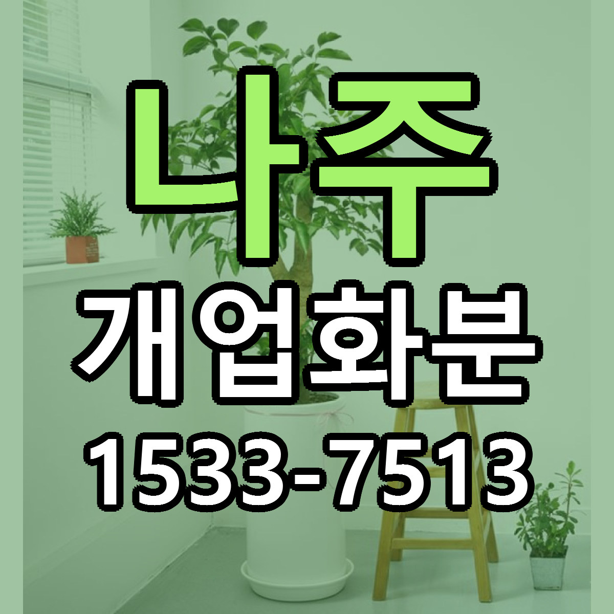 나주 개업화분 빠른배송 근처꽃집 가격 비교