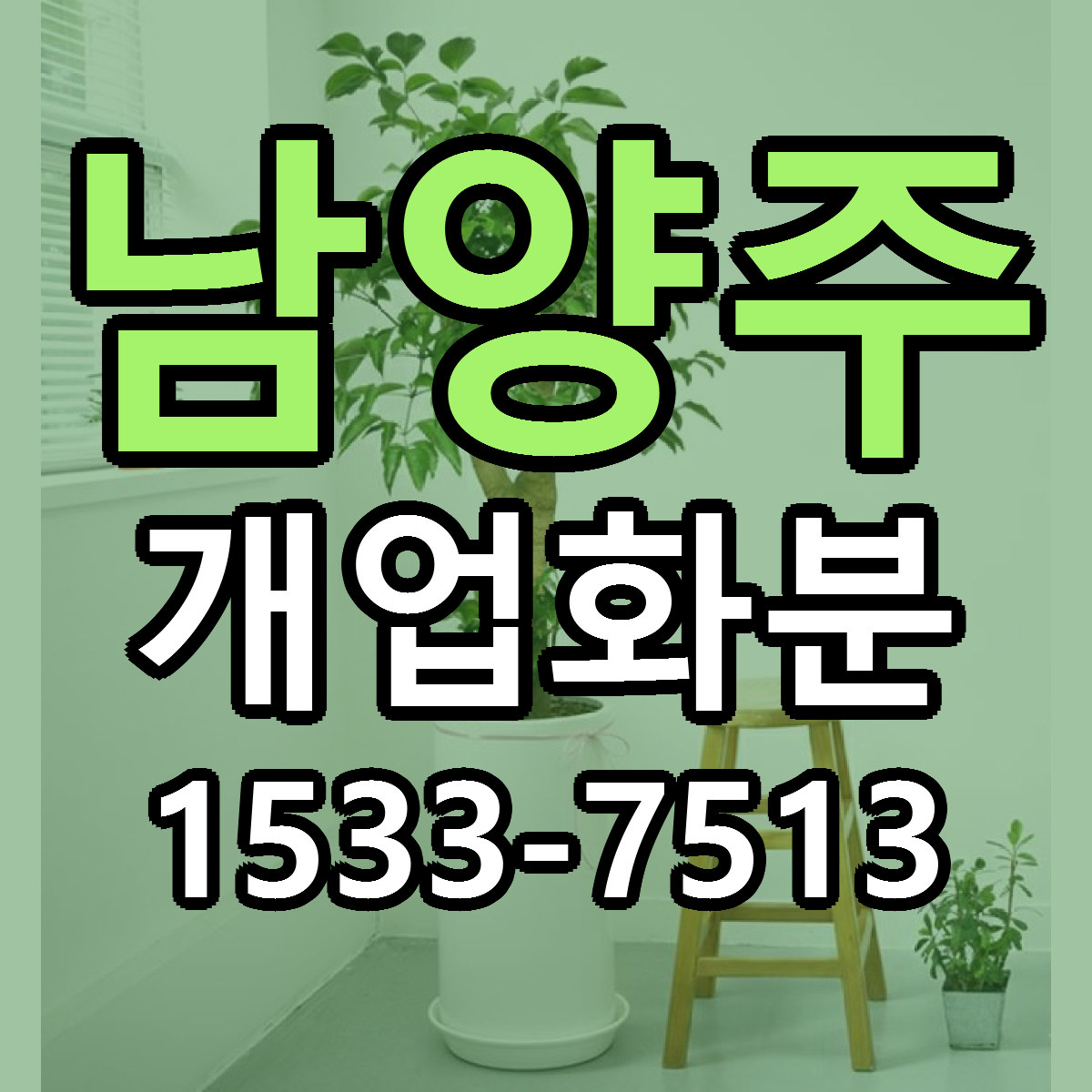 남양주 개업화분 저렴한곳 당일배송 가격 만족