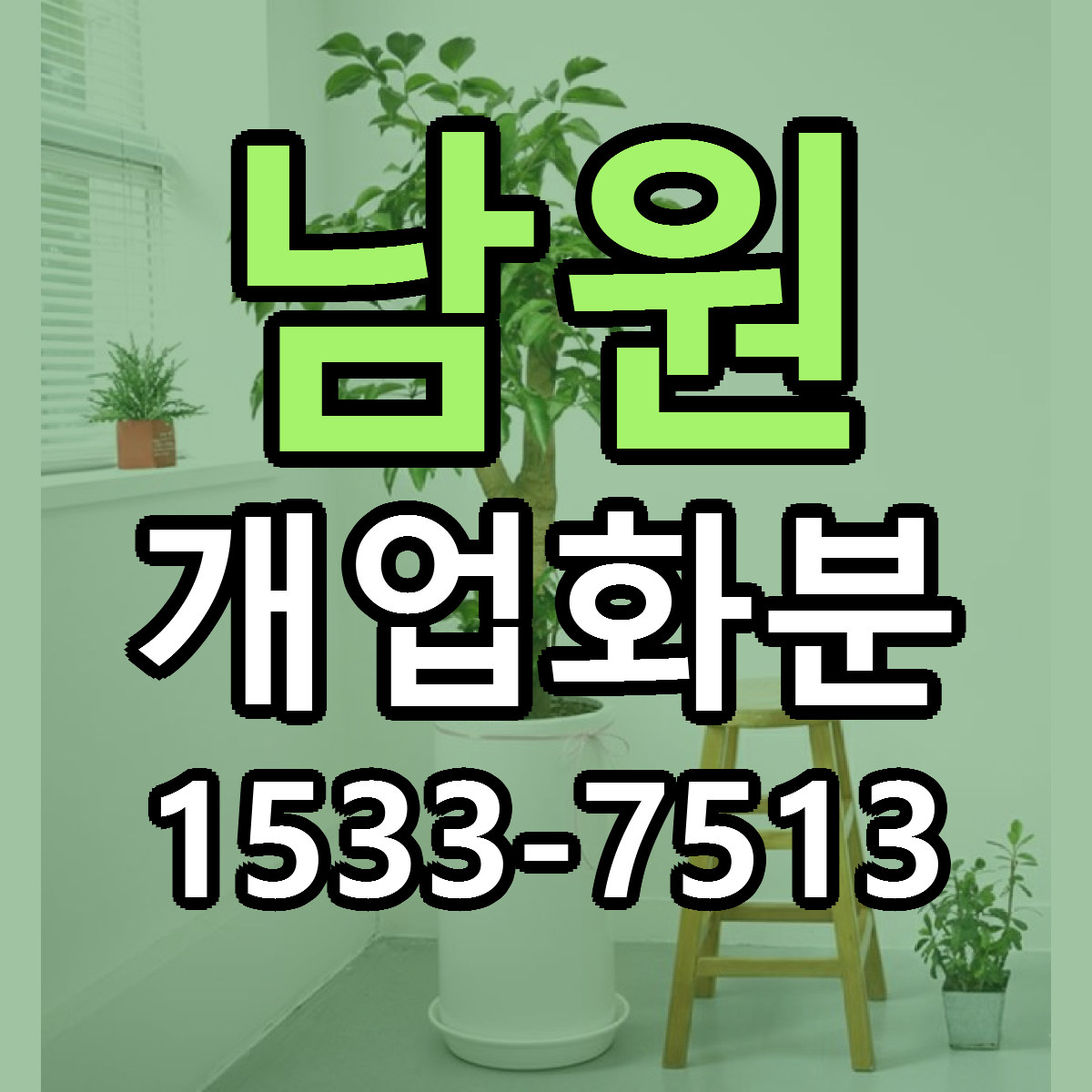 남원 개업화분 빠른배송 근처꽃집 가격 비교