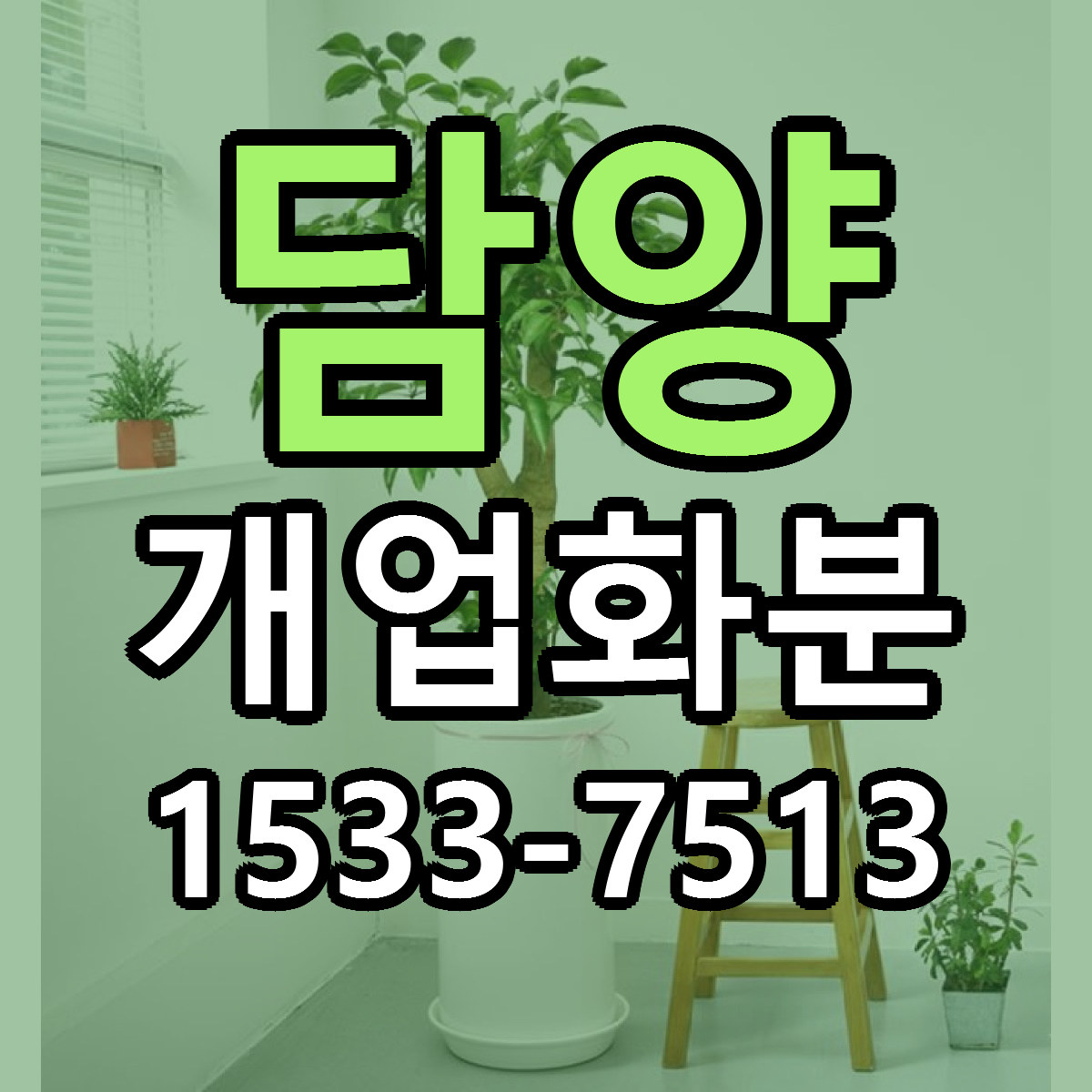 담양 개업화분 당일배송 빠른배송 싼곳 찾기