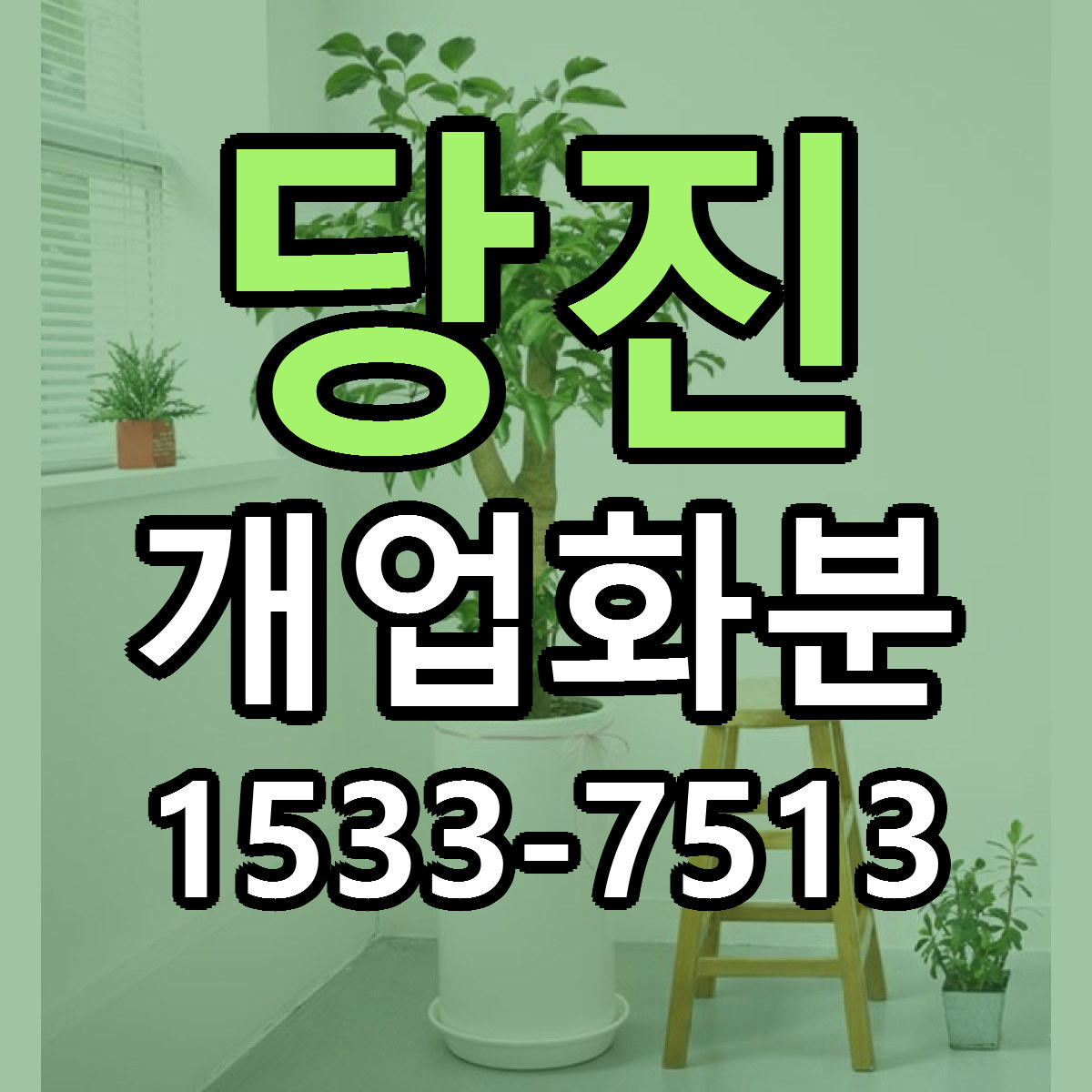 당진 개업화분 당일배송 빠른배송 싼곳 찾기