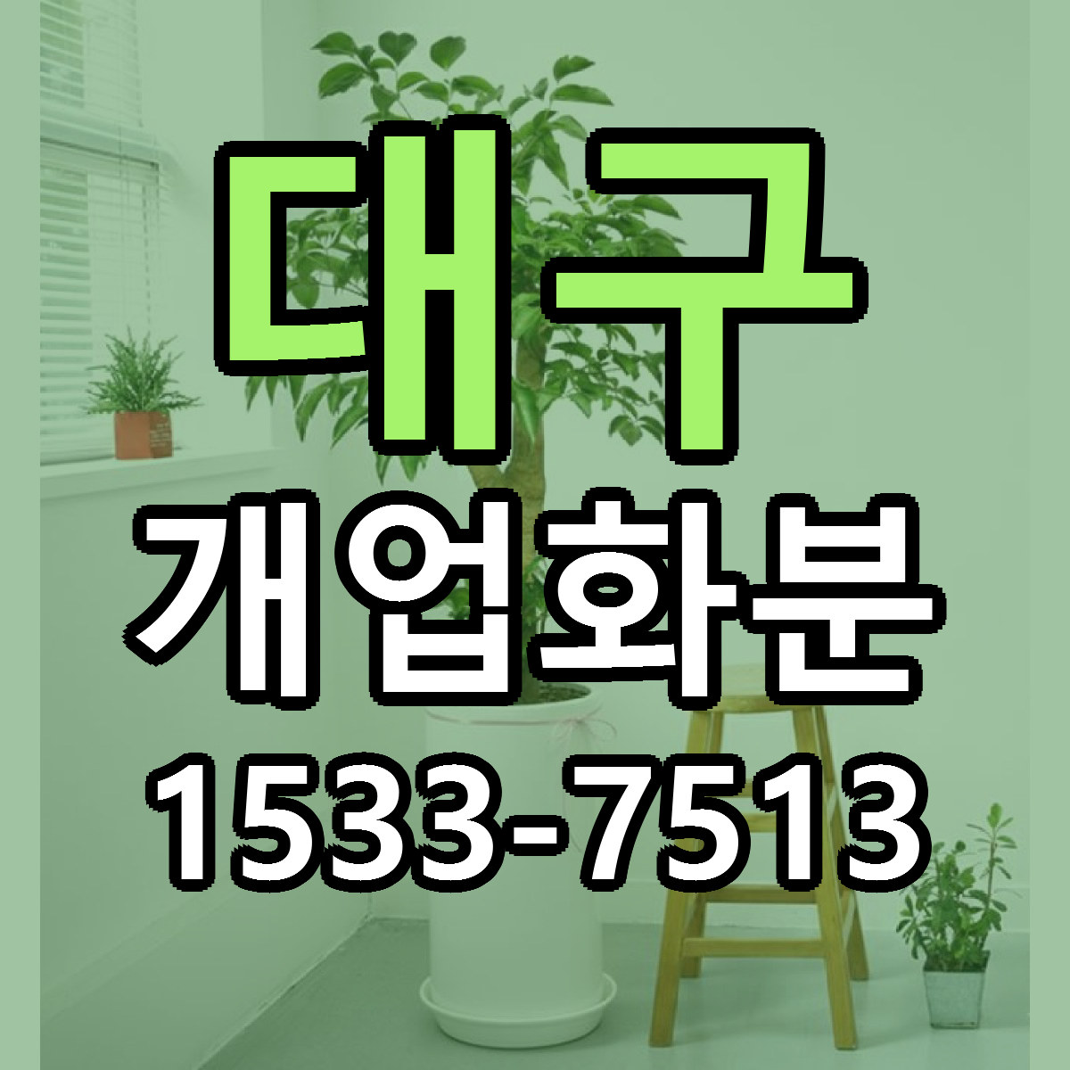 대구 개업화분 근처꽃집 가격 저렴한곳 안내