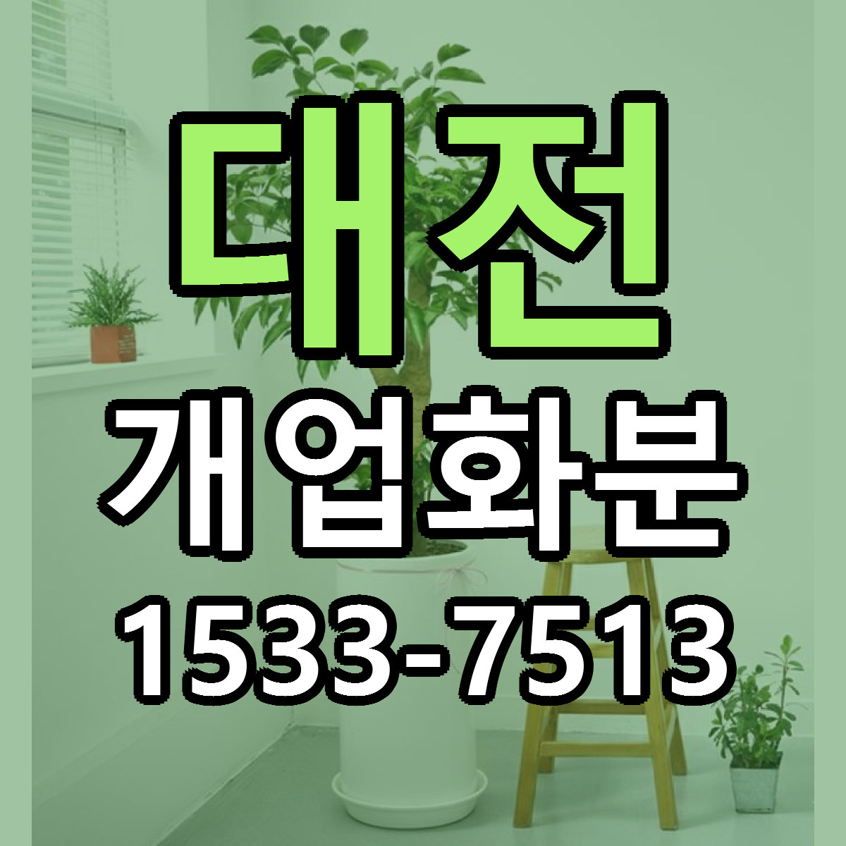 대전 개업화분 빠른배송 저렴한곳 가격 정리