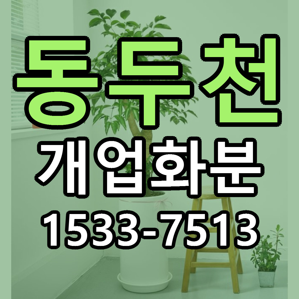 동두천 개업화분 당일배송 근처꽃집 싼곳 비교