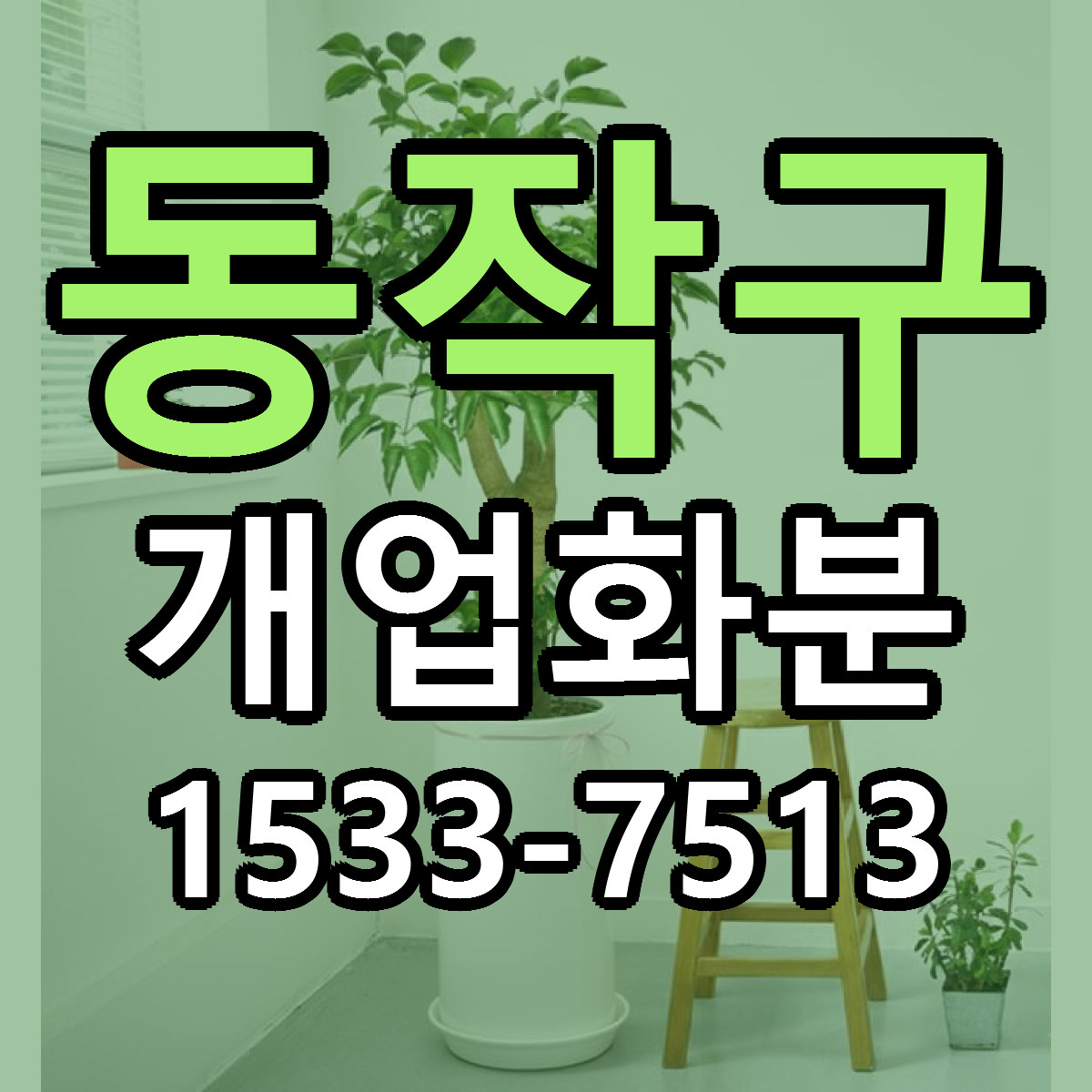 동작구 개업화분 빠른배송 저렴한곳 가격 정리