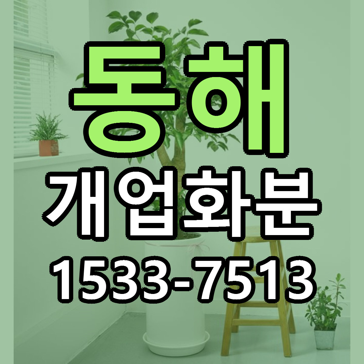 동해 개업화분 당일배송 저렴한곳 리본문구 추천