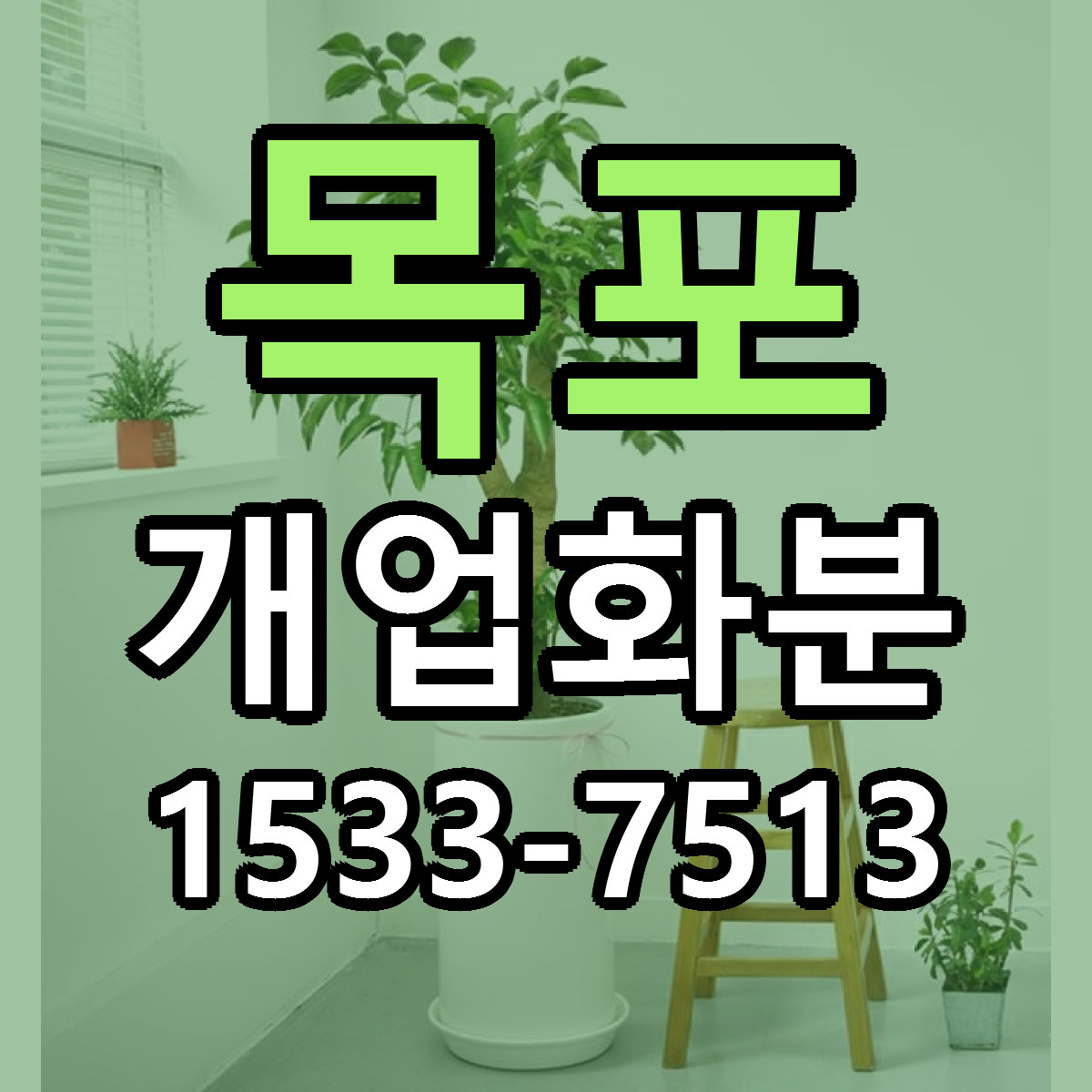 목포 개업화분 저렴한곳 당일배송 근처꽃집 추천