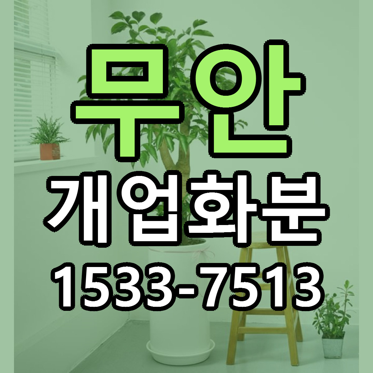 무안 개업화분 빠른배송 리본문구 근처꽃집 예약