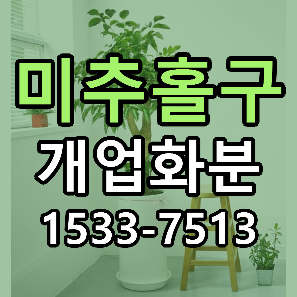 미추홀구 개업화분 빠른배송 리본문구 가격 알뜰 비교