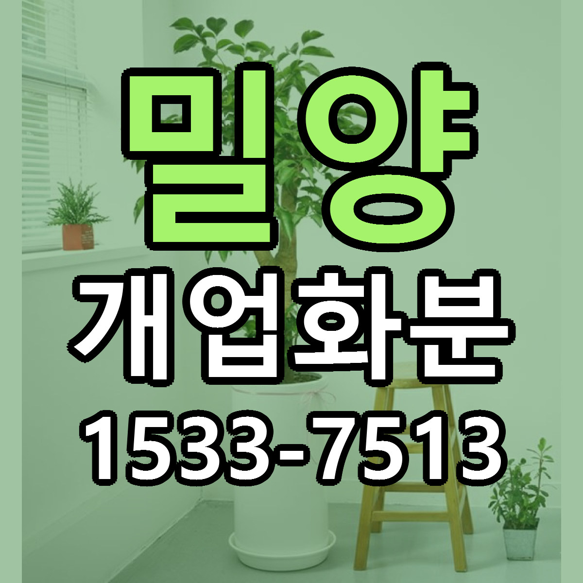 밀양 개업화분 당일배송 근처꽃집 싼곳 비교