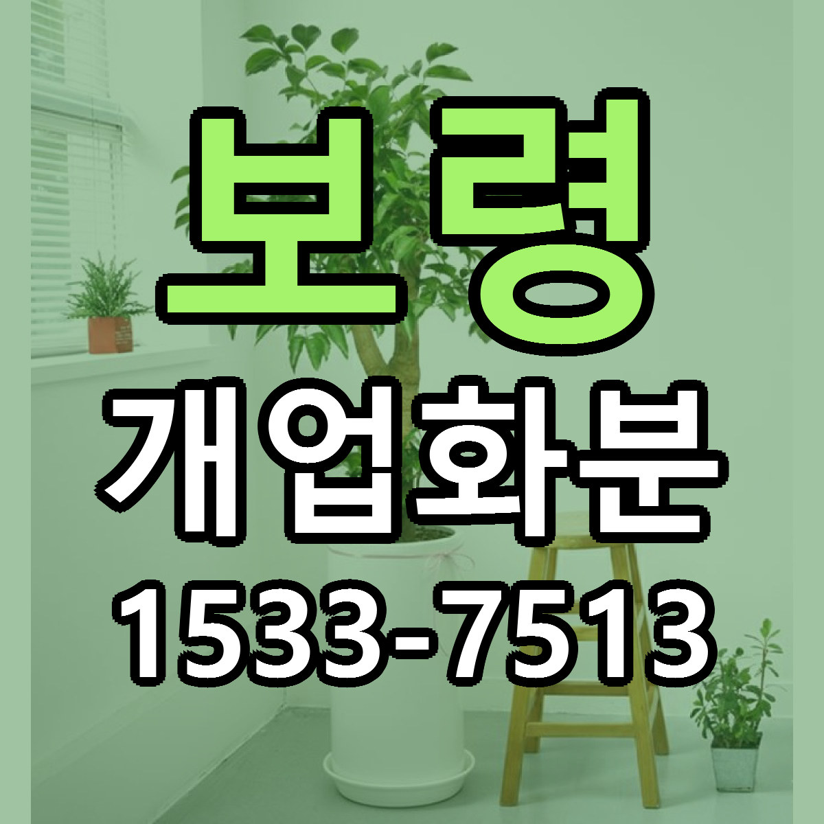 보령 개업화분 싼곳 당일배송 빠른배송 추천