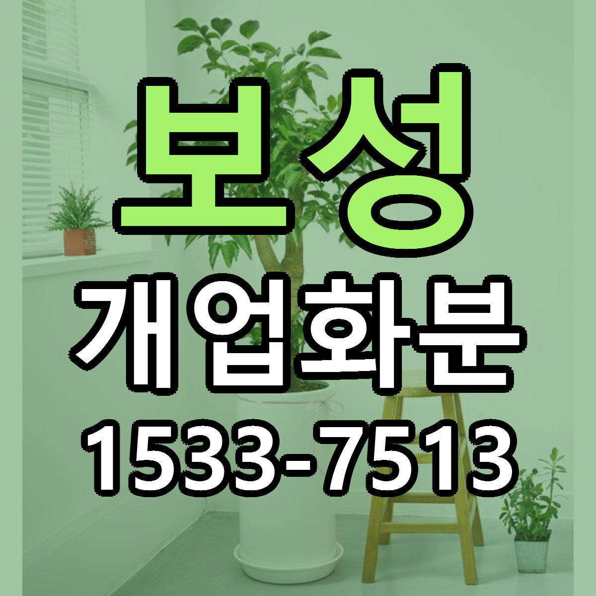 보성 개업화분 싼곳 당일배송 빠른배송 추천