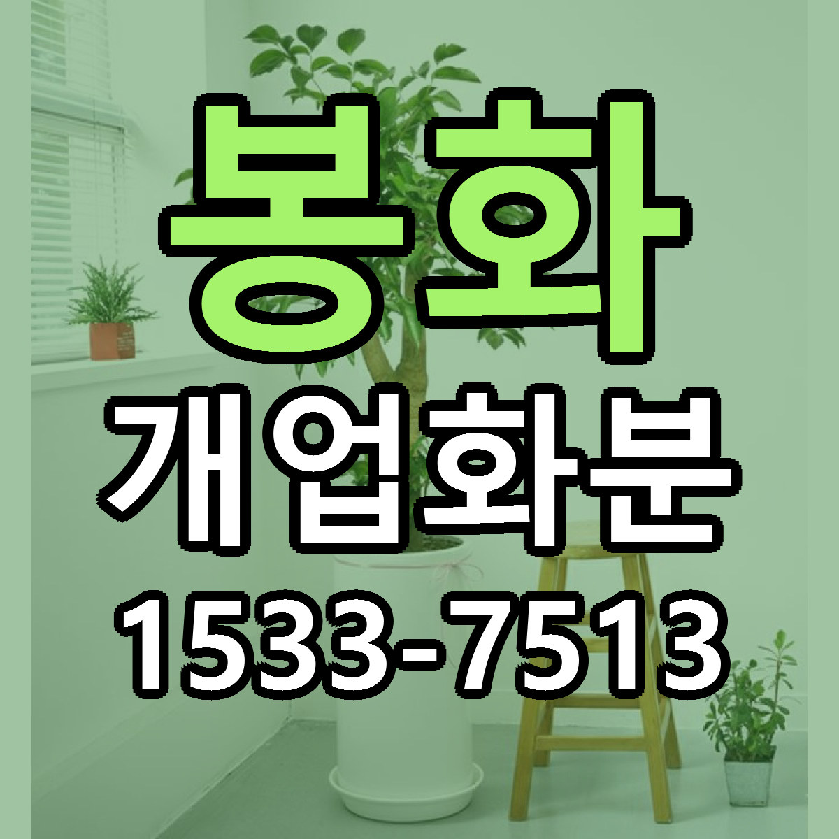 봉화 개업화분 당일배송 가격 저렴한곳 추천