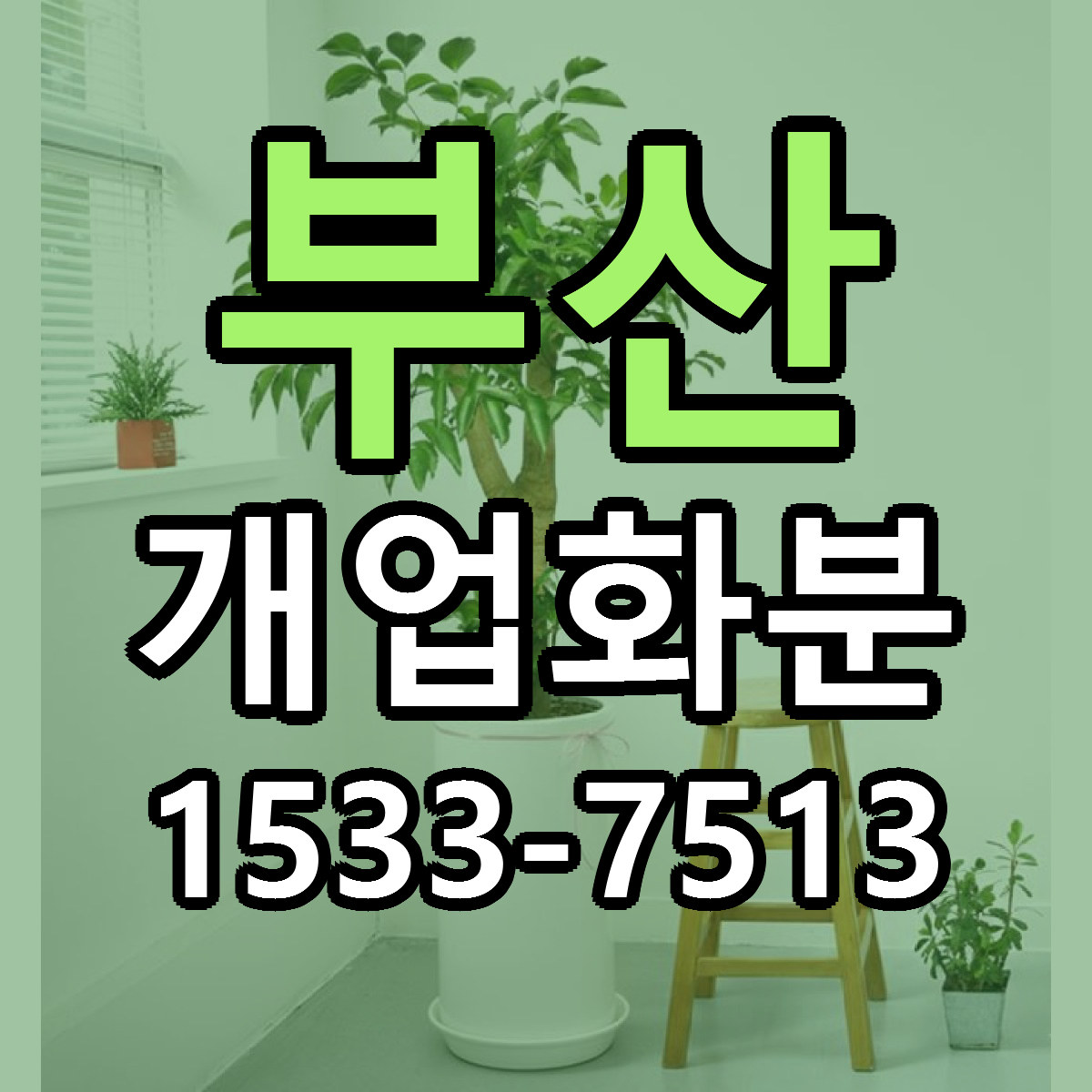 부산 개업화분 리본문구 싼곳 빠른배송 예약