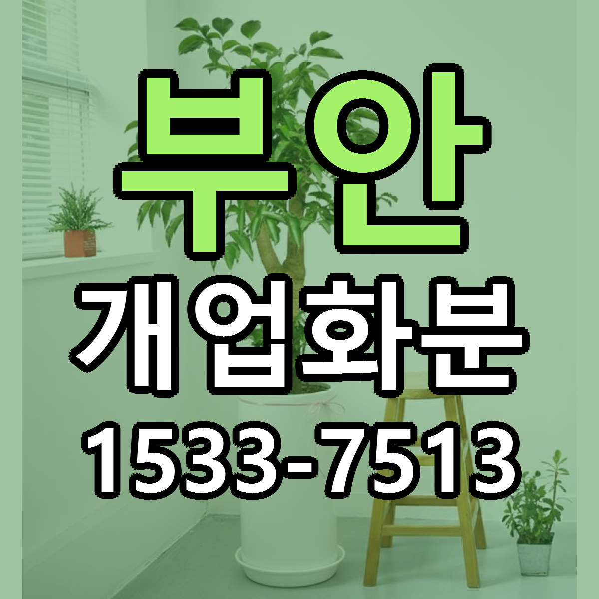 부안 개업화분 리본문구 근처꽃집 저렴한곳 예약