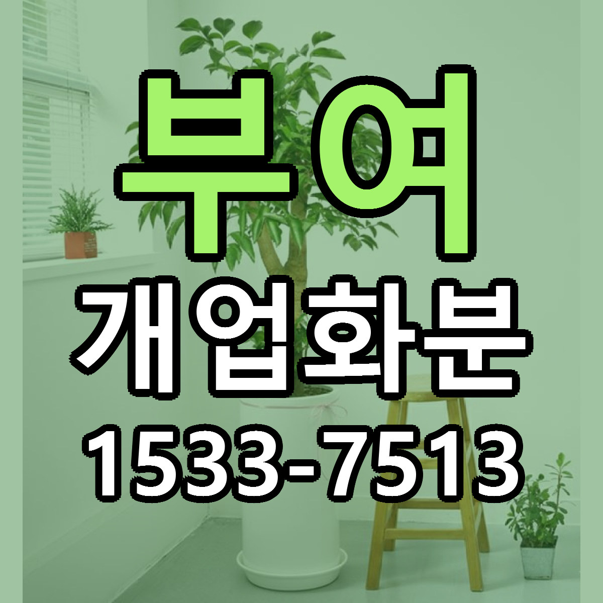 부여 개업화분 근처꽃집 싼곳 빠른배송 안내