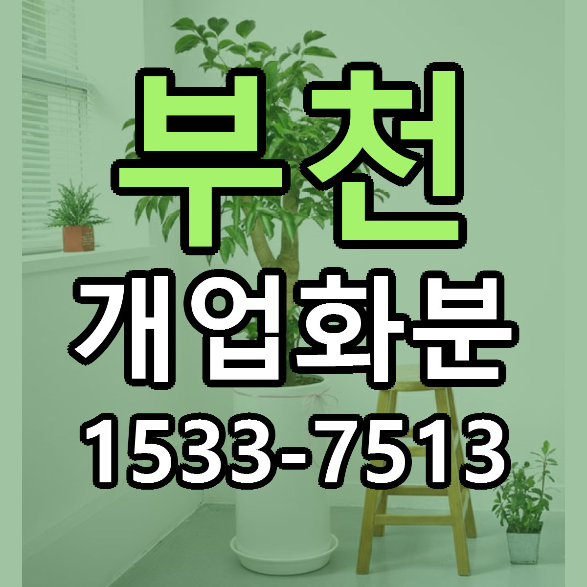 부천 개업화분 빠른배송 리본문구 근처꽃집 예약
