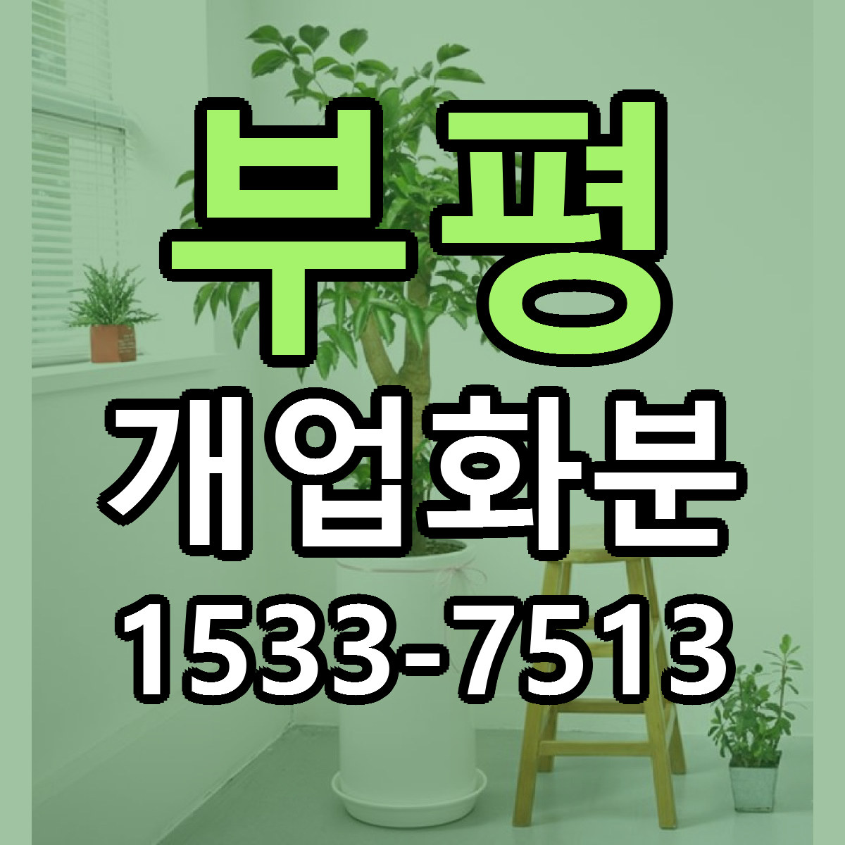 부평 개업화분 당일배송 싼곳 리본문구 안내