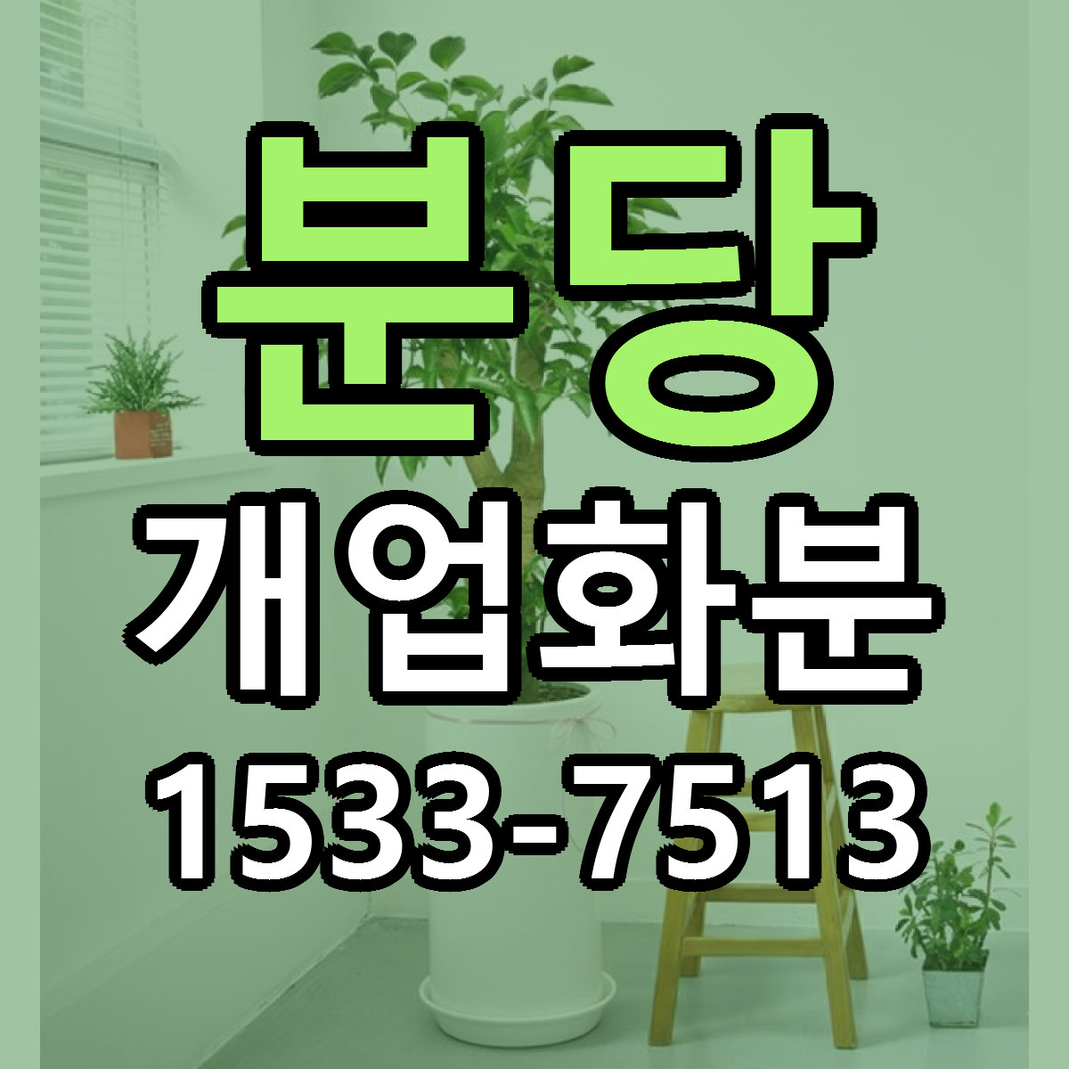 분당 개업화분 저렴한곳 당일배송 가격 만족