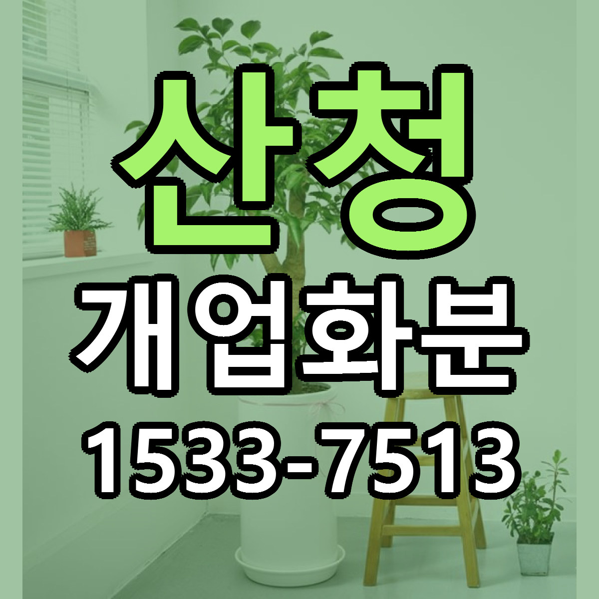 산청 개업화분 근처꽃집 당일배송 싼곳 추천