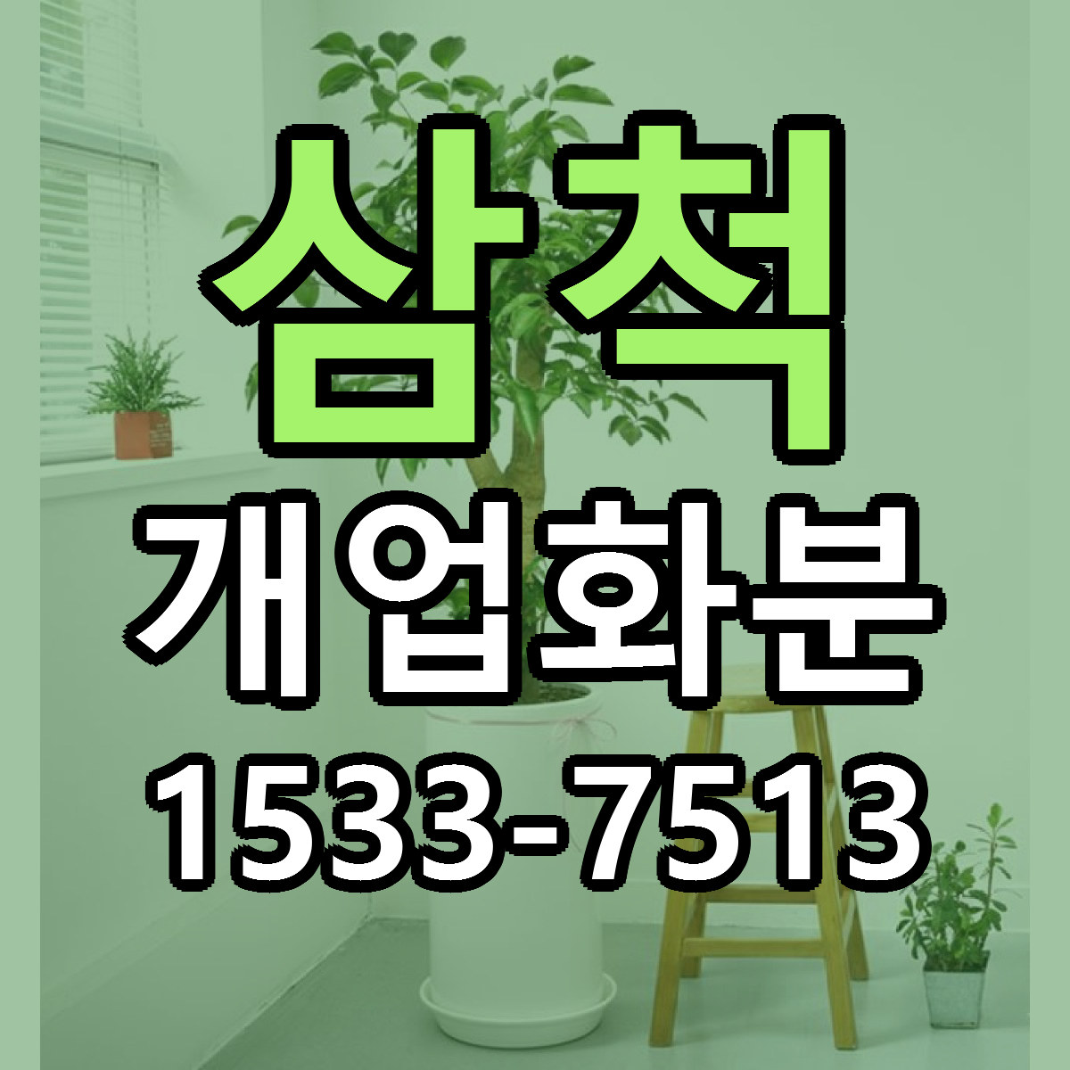 삼척 개업화분 저렴한곳 당일배송 근처꽃집 추천