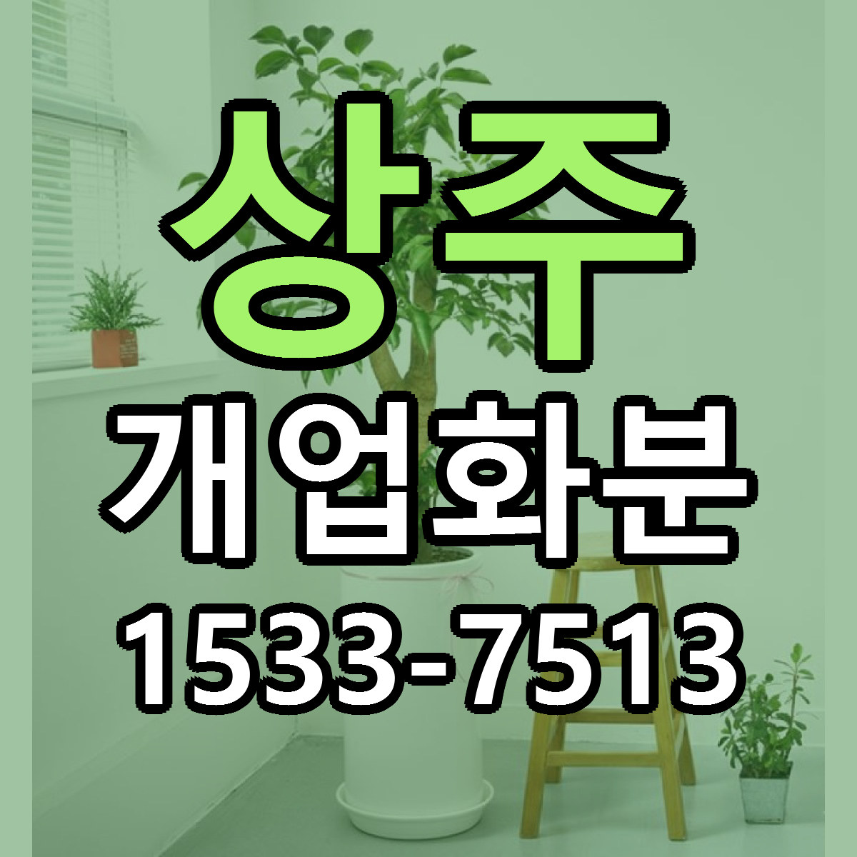 상주 개업화분 당일배송 저렴한곳 리본문구 추천