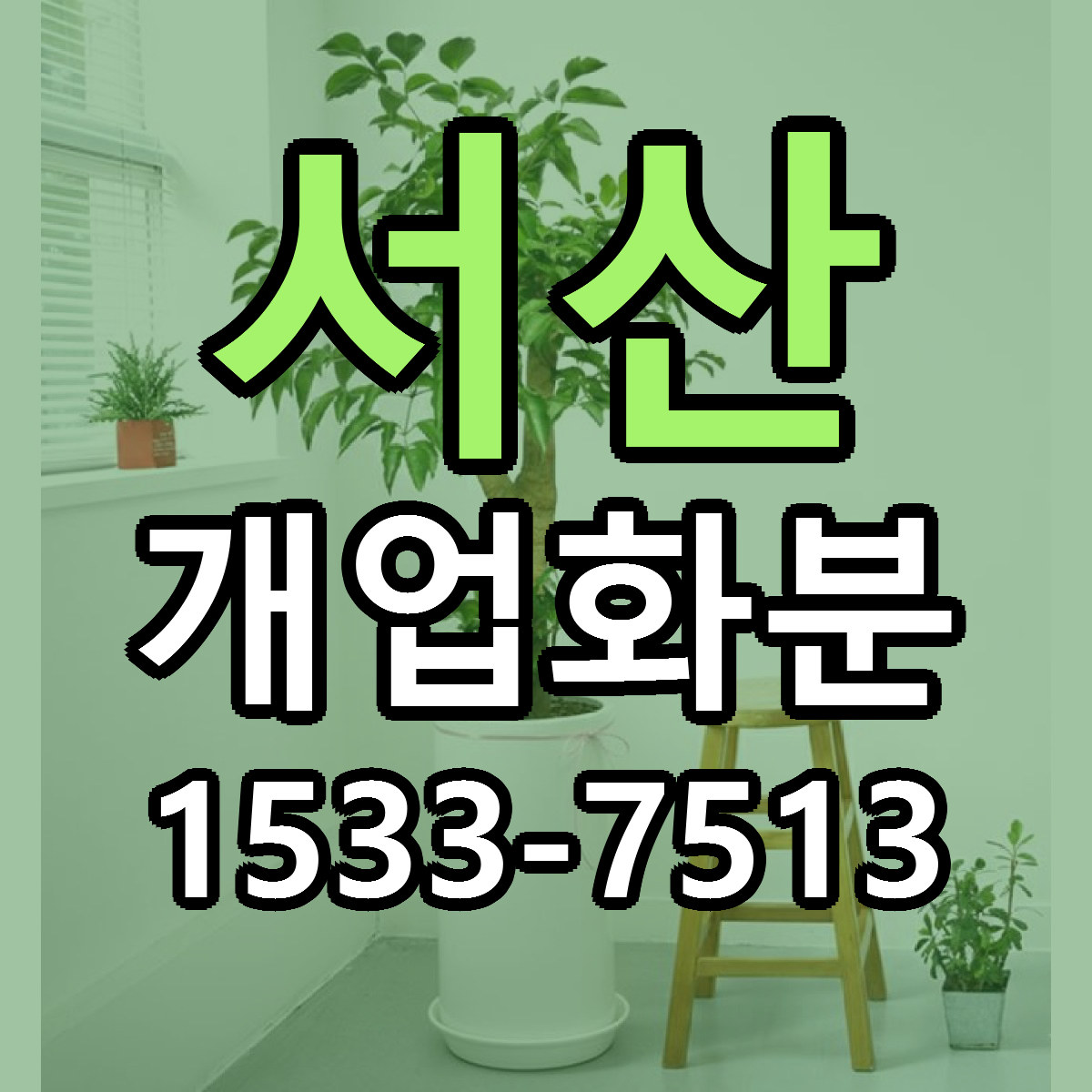 서산 개업화분 싼곳 빠른배송 리본문구 무료
