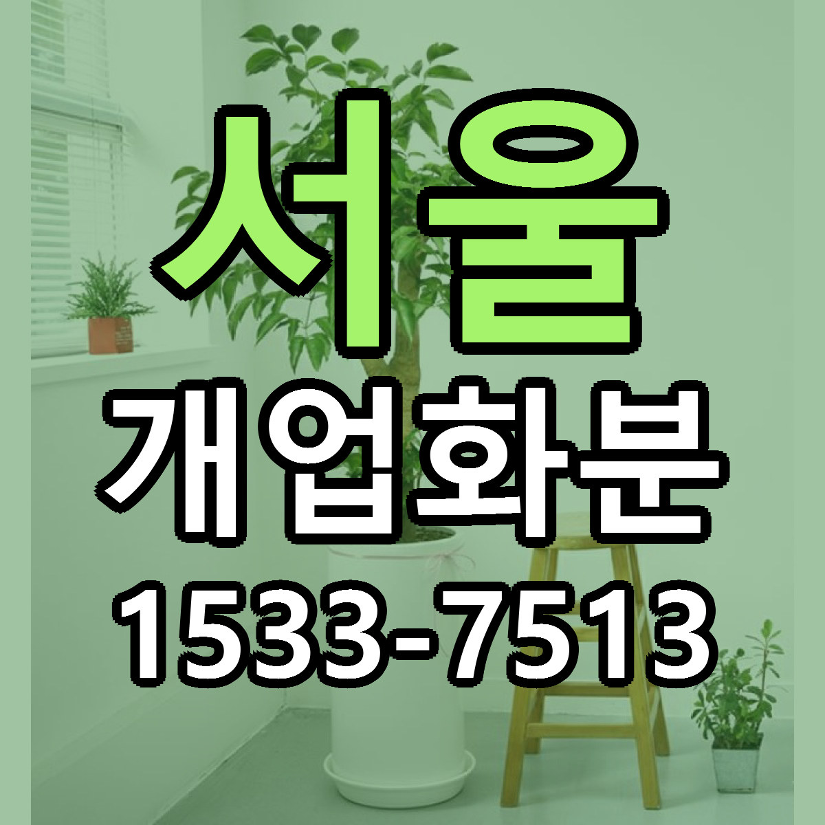 서울 개업화분 빠른배송 싼곳 가격 문의