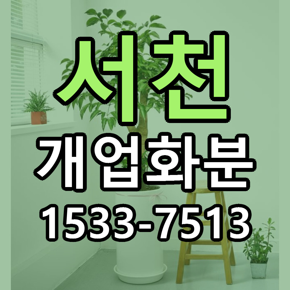 서천 개업화분 근처꽃집 저렴한곳 빠른배송 서비스