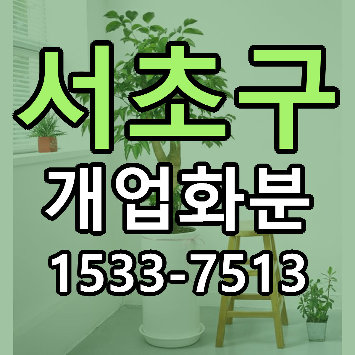 서초구 개업화분 근처꽃집 가격 저렴한곳 안내