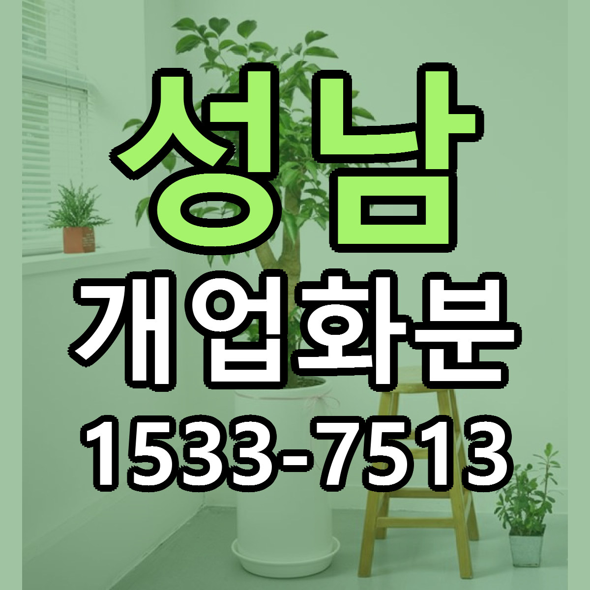 성남 개업화분 저렴한곳 당일배송 근처꽃집 추천
