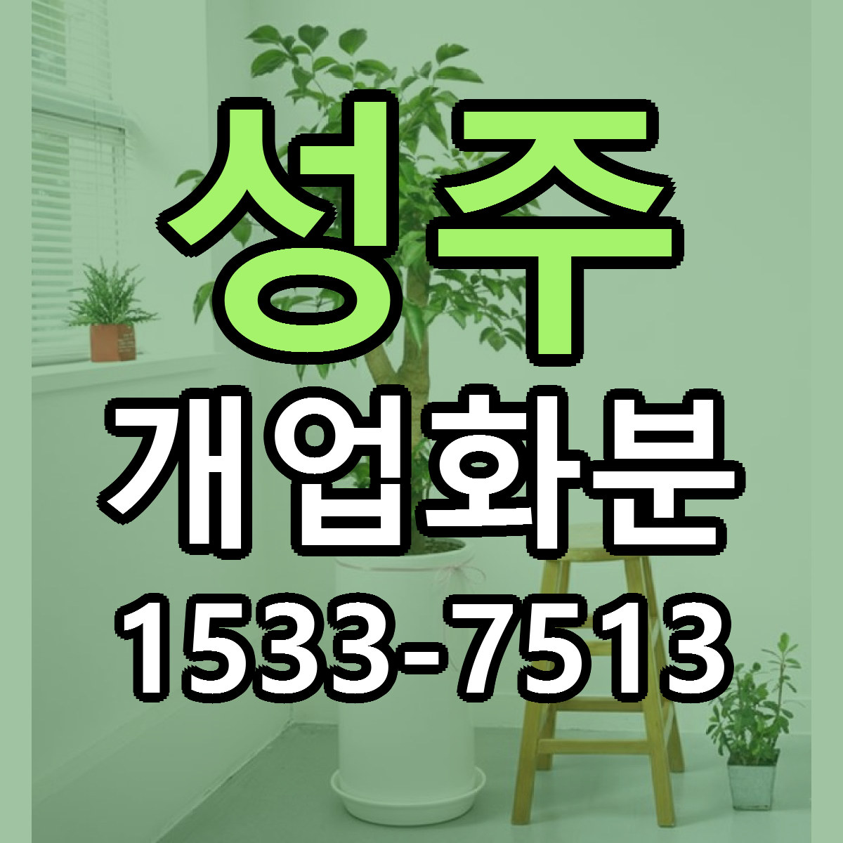 성주 개업화분 근처꽃집 당일배송 리본문구 서비스
